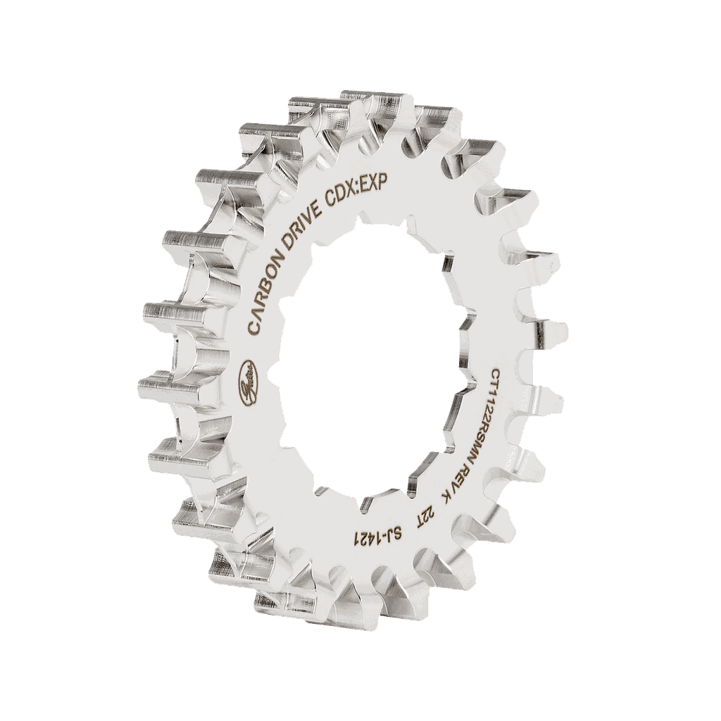 Pinyó Gates CDX, 19T, Rohloff